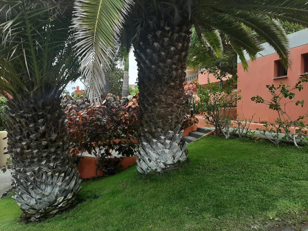 Aparthotel El Cerrito Playa Cancajos.- BreNa Baja  Εξωτερικό φωτογραφία