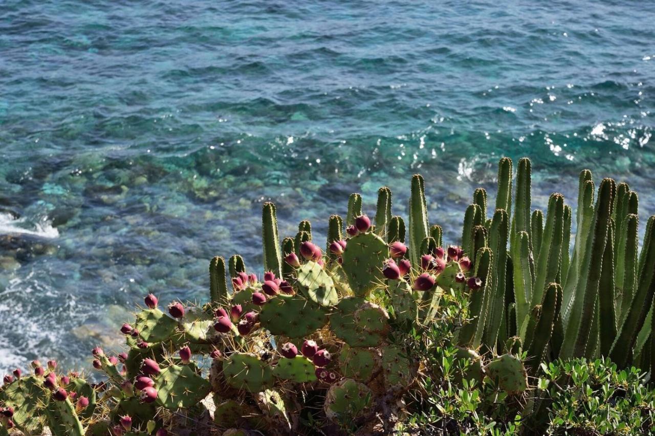 Aparthotel El Cerrito Playa Cancajos.- BreNa Baja  Εξωτερικό φωτογραφία